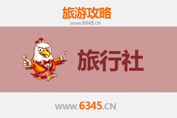 洛阳嵩县本地旅行社推荐：深度探索古都后花园的完美指南